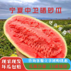 宁夏李鹏果蔬的一亩田店铺