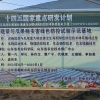 山东鑫圣禾蔬菜基地的一亩田店铺