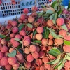 丘志锋的一亩田店铺