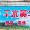 王合平的一亩田店铺