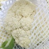 榆中农掌柜蔬菜种植有限公司的一亩田店铺