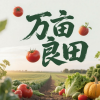 张新建的一亩田店铺