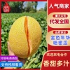 阿迪力果业的一亩田店铺
