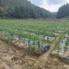 伟业土产经营部的一亩田店铺