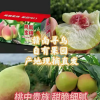 袁萍的一亩田店铺