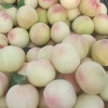 百信客莱的一亩田店铺