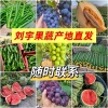 小刘诚信果蔬批发的一亩田店铺