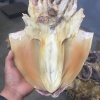 王紫薇的一亩田店铺