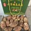 信堂中药材公司的一亩田店铺