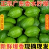 广州肇庆怀集县大岗镇白天种植场的一亩田店铺