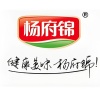 杨府锦调味食品股份有限公司的一亩田店铺