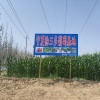 徐三多葡萄基地的一亩田店铺