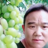 戴庆元的一亩田店铺