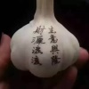 亿鑫大蒜加工有限公司的一亩田店铺