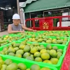 宁夏明福西瓜购销中心的一亩田店铺