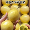 漳平市兴鲜农业百香果批发的一亩田店铺