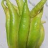 乐莹康农商行的一亩田店铺