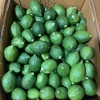 谢洁晶的一亩田店铺