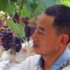 彭州市金色田园果蔬种植家庭农场的一亩田店铺
