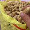 开封大地绿链果蔬的一亩田店铺