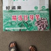 上饶市铅山红芽芋基地批发的一亩田店铺