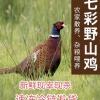 德州德葆宏食品有限公司的一亩田店铺