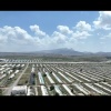 新疆鼎丰盛科技有限公司的一亩田店铺