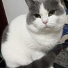 陈昌莲的一亩田店铺