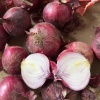 华楚商行蔬菜批发档口的一亩田店铺