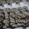 茆帅的一亩田店铺