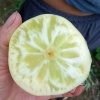 沂水县瑞坤果蔬购销中心的一亩田店铺