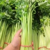 云南奕涵农业的一亩田店铺