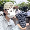 尤学森的一亩田店铺