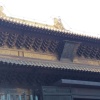 刘廷松的一亩田店铺