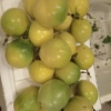 缪梦婷的一亩田店铺