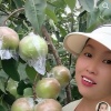 茹苗的一亩田店铺