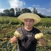 隆回县顺轩中药材种植有限公司的一亩田店铺
