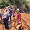 六枝特区岩脚乡土种养镇农场的一亩田店铺
