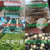 吉昊合作社的一亩田店铺