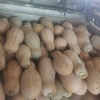苏伟的一亩田店铺