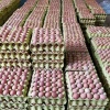 老田农副产品的一亩田店铺