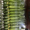 谢文婧的一亩田店铺