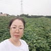孙琨农副产品的一亩田店铺