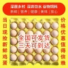 江苏东台启源粉蛋批发供应的一亩田店铺