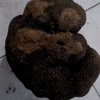 张立波的一亩田店铺