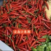 绿枢源国际贸易（云南）有限公司的一亩田店铺