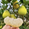向杰的一亩田店铺