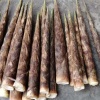 罗庆莉的一亩田店铺
