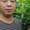 汪平飞的一亩田店铺