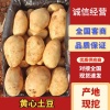 高文学果蔬代购代发代办的一亩田店铺